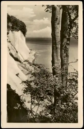 Ansichtskarte Sassnitz Ostsee Ufer Hochufer mit Hengst 1955