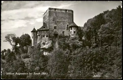 Ansichtskarte Aesch Basel Landschaft Schloß Angenstein 1963