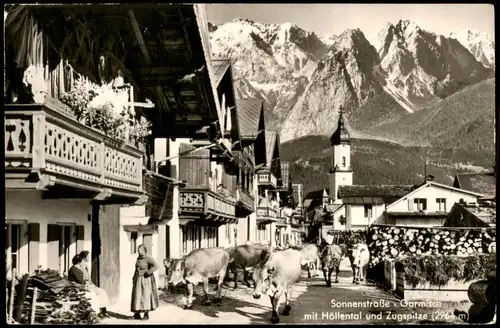 Ansichtskarte Garmisch-Partenkirchen Sonnenstraße, Kuhabtrieb 1959