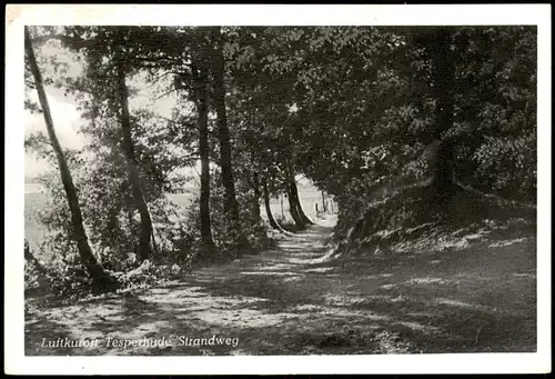 Ansichtskarte Tesperhude-Geesthacht Strandweg 1958