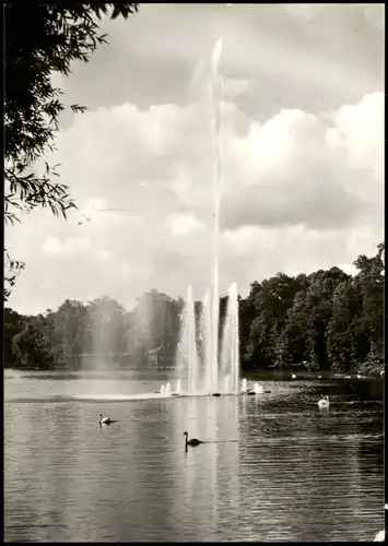 Ansichtskarte Zwickau Schwanenteich, Fontäne - Fotokarte 1979