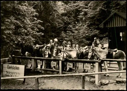 Ansichtskarte Eisenach Wartburg Eselhütten - Fotokarte 1961