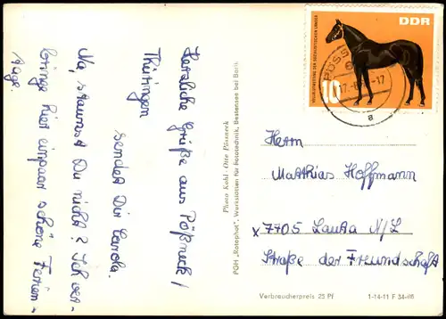 Ansichtskarte Ziegenrück/Saale DDR   Ortsansichten 1965 Motiv-Frankatur "Pferd"