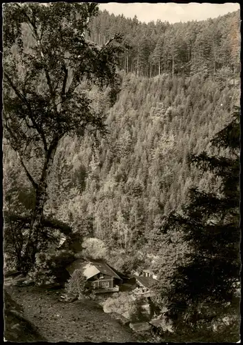 .Thüringen Blick vom Dürren Schild ins Schwarzatal zur DDR-Zeit 1960