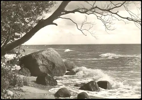 Ansichtskarte .Mecklenburg-Vorpommern Ostsee/ Baltic Sea Stimmungsbild 1981