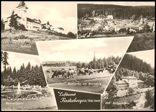 Finsterbergen-Friedrichroda Kuhherde, Konzertplatz, HOG Steigermühle 1966