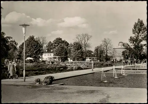 Erfurt Internationale Gartenbauausstellung Wasserachse mit Wasserpflanzen 1961
