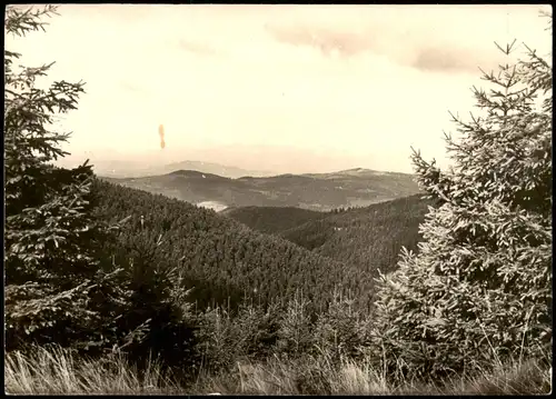 Ansichtskarte Schmiedefeld (Rennsteig) Blick vom Rennsteig 1979