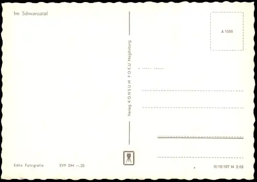 Ansichtskarte .Thüringen Wald Partie im Schwarzatal 1963