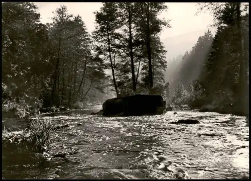 Ansichtskarte .Thüringen DDR AK Morgenstimmung im Schwarzatal 1962