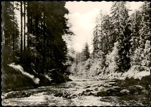 .Thüringen Das Schwarzatal Wald & Fluss Partie zur DDR-Zeit 1963