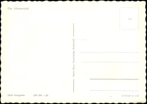 .Thüringen Das Schwarzatal Wald & Fluss Partie zur DDR-Zeit 1963