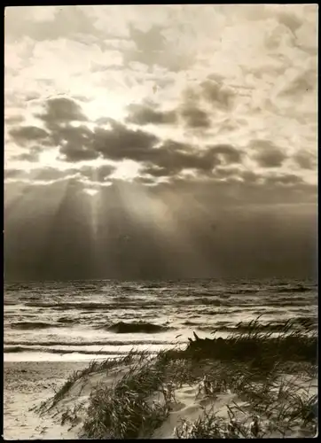 .Mecklenburg-Vorpommern Ostsee/ Baltic Sea Stimmungbild Dünen 1974