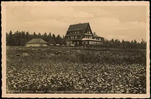 Zinnwald-Georgenfeld-Altenberg (Erzgebirge) Lugstein-Baude, Hochmoor 1943