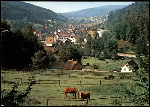 Heimbuchenthal (Spessart Unterfranken) Blick über die Stadt 1989