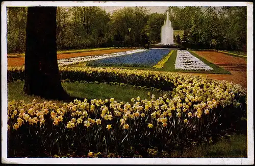 Ansichtskarte Dresden Reichsgartenschau - Blumenbeete Fontäne 1936