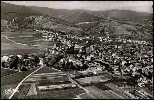 Ansichtskarte Wachenheim an der Weinstraße Luftbild 1954