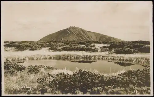 Krummhübel Karpacz Fernsicht Schneekoppe/Sněžka/Śnieżka 1929
