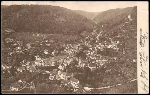 Ansichtskarte Bad Liebenzell Blick auf die Stadt 1911