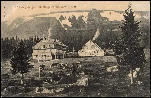 Postcard Krummhübel Karpacz Schlingelbaude, Bauern Riesengebirge 1911