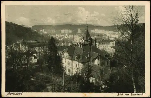 Postcard Marienbad Mariánské Lázně Blick vom Steinbruch 1930