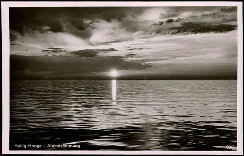 Ansichtskarte Hallig Hooge Abendstimmung am Meer - Fotokarte 1938