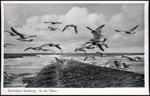 Ansichtskarte Norderney Möwen über der Buhne 1939