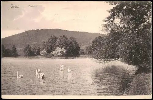 Ansichtskarte Greiz Parksee - Schwäne 1905