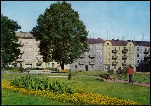 Postcard Slubice Słubice Fragment ulicy Jedności Robotniczej 1970