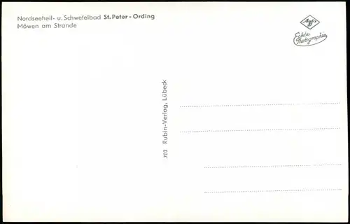 Ansichtskarte St. Peter-Ording Möwen am Strande 1956