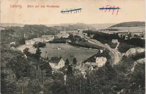 Ansichtskarte Leisnig Fabriken und Straße 1913