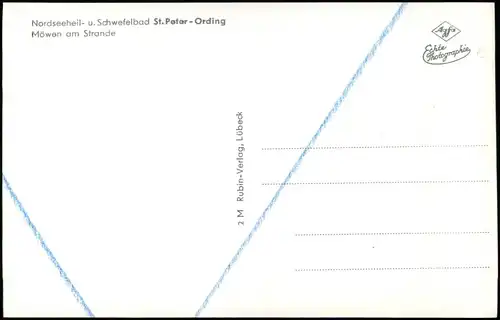 Ansichtskarte Baltrum Möwen am Anleger 1956