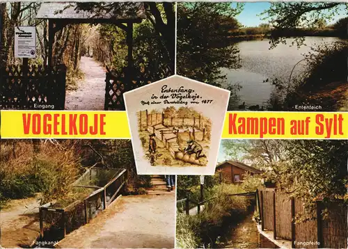 Ansichtskarte Kampen (Sylt) Vogelkoje 1977