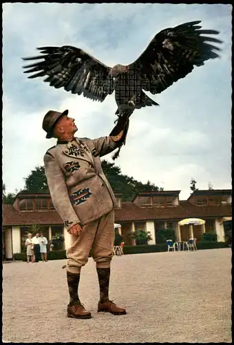 Ansichtskarte Berlebeck-Detmold Adlerwarte Steinadler Peter 1969