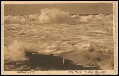 Ansichtskarte Westerland-Sylt Seestudie - Sturm 1910  gel. Stempel W-Sylt