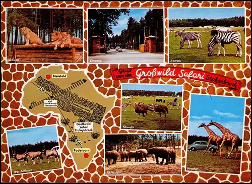 Schloß Holte-Stukenbrock SENNE - GROSSWILD - SAFARI Park Mehrbildkarte 1982/1973