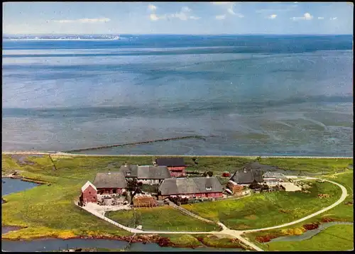 Langeneß Langenæs HALLIG LANGENESS, Majenswarft, Luftaufnahme 1966