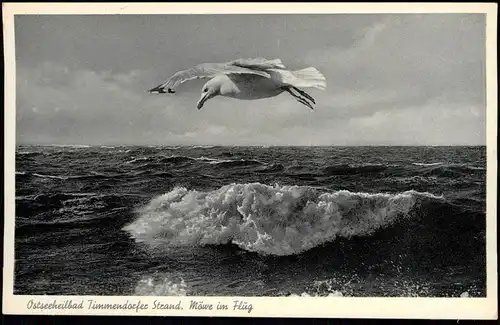 Ansichtskarte Ostseeheilbad Timmendorfer Strand - Möwe im Flug 1930