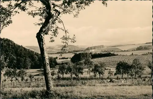Ansichtskarte Freital Stadtblick Fabrik 1960