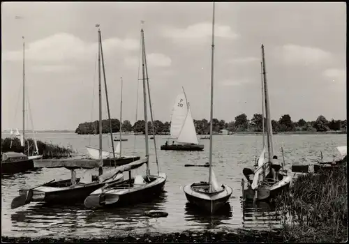 Ansichtskarte Malchow (Mecklenburg) Fleesensee zur DDR Zeit, Segelboote 1967