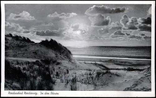 Ansichtskarte Norderney Stimmungsbild in den Dünen 1956