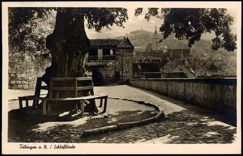 Ansichtskarte Tübingen Blick von der Schloßlinde auf die Stadt 1943