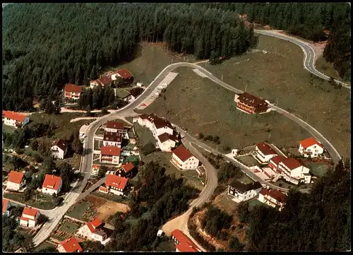 Ansichtskarte Bad Grund (Harz) Luftbild Luftaufnahme Wohngebiet 1975