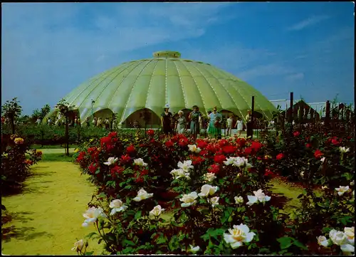 Ansichtskarte Bonn Bundesgartenschau Kuppelhalle mit Rosen 1979