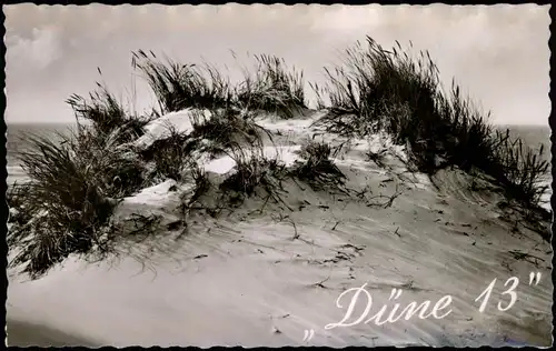 Ansichtskarte Norderney Strand - Düne 13 1958