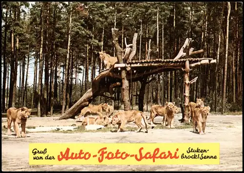 Schloß Holte-Stukenbrock Hollywood- und Safaripark Stukenbrock 1971