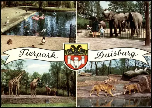 Ansichtskarte Duisburg Tierpark Zoo MB: Elefanten Enten 1975