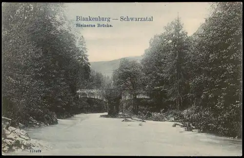 Ansichtskarte Bad Blankenburg Schwarzatal Schwarza Steinerne Brücke 1910