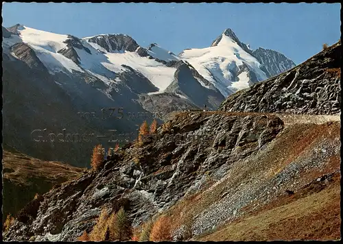 Ansichtskarte Zell am See Großglockner-Hochalpenstraße 1980