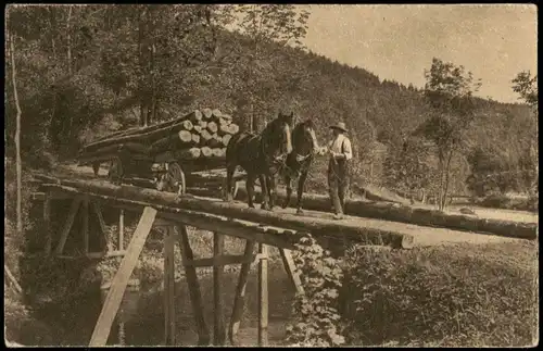 .Baden-Württemberg Langholzfuhre mit Pferde Fuhrwerk im Schwarzwald 1921